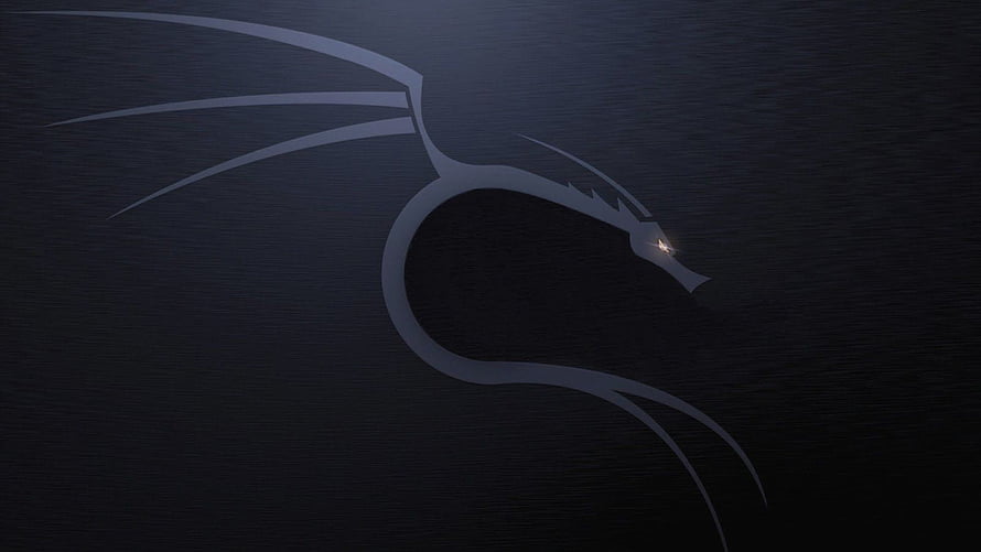 Kali Linux Dragon Logo Minimalist Dark Wallpaper HD wallpaper