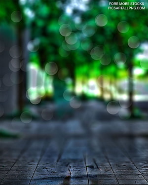 Dreamy Bokeh Forest Path with Soft Green Light and Wet Stone Ground HD phone wallpaper