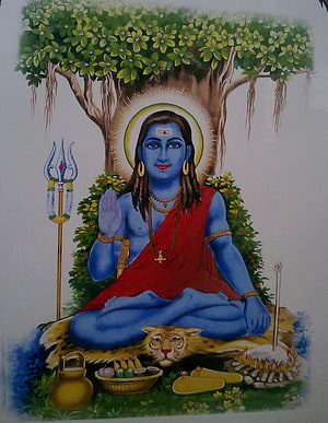 Guru Gorakhnath Meditation Under Tree With Trishul And Tiger Skin HD phone wallpaper