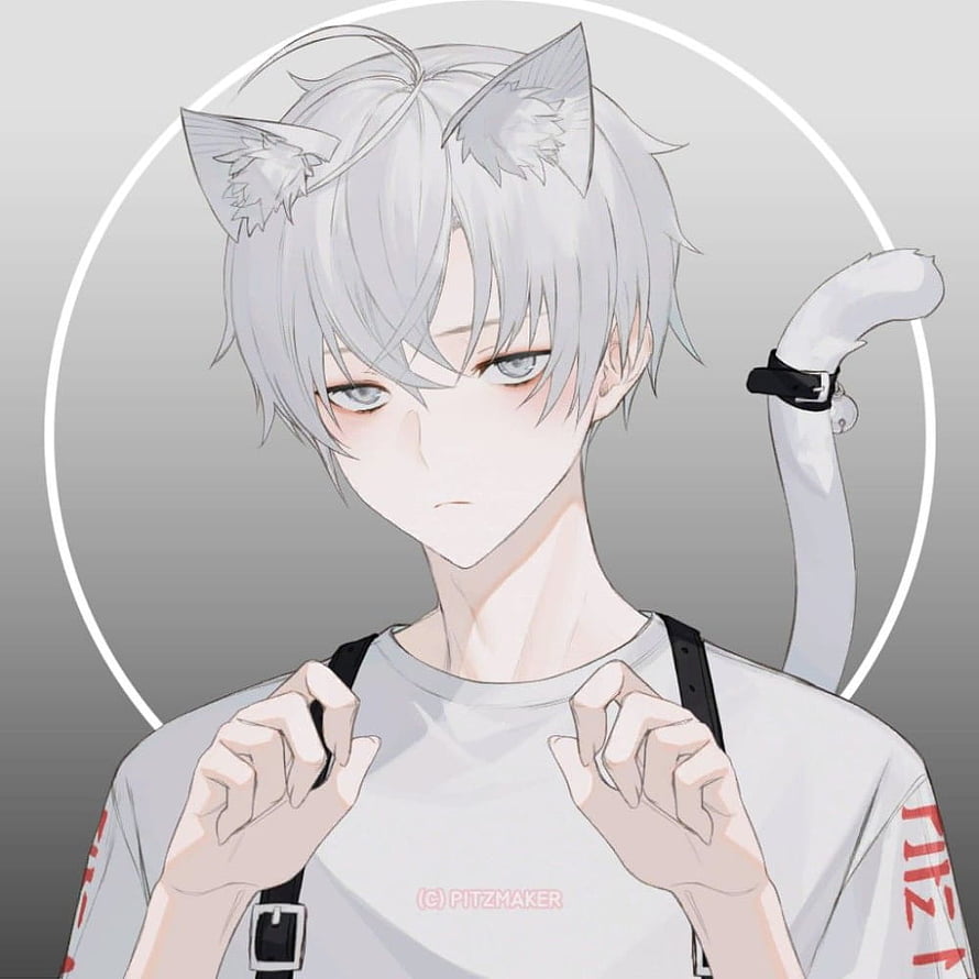 Silver-Haired Anime Cat Boy with Furry Ears and Tail in Casual White T-Shirt HD phone wallpaper