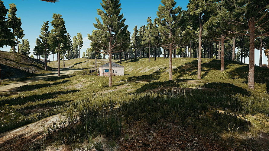 PUBG Erangel Forest Landscape with Small Cabin and Pine Trees HD wallpaper