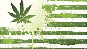Green Cannabis Leaf Graphic With Grunge Stripes And Paint Splatter Design HD wallpaper