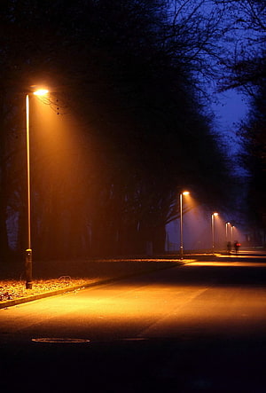 Misty Night Street with Glowing Orange Streetlights and Dark Tree Silhouettes HD phone wallpaper