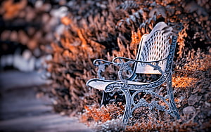 Ornate Cast Iron Garden Bench Set Against Autumn Foliage in a Serene Park Setting HD wallpaper