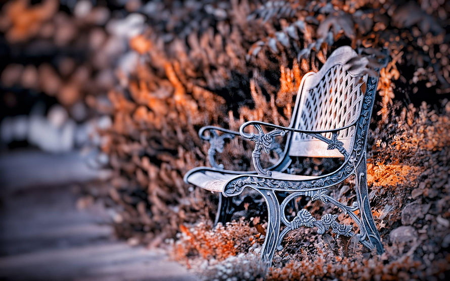 Ornate Cast Iron Garden Bench Set Against Autumn Foliage in a Serene Park Setting HD wallpaper