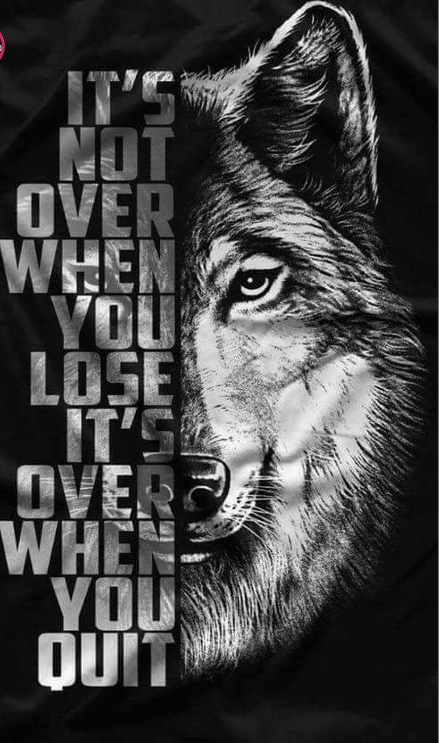Black and White Wolf Portrait with Motivational Quote on Dark Background HD phone wallpaper