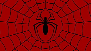 Spider-Man Web Pattern with Central Spider Silhouette on Red Background HD wallpaper