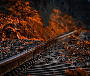Rustic Train Tracks Winding Through Autumn Foliage at Dusk HD wallpaper