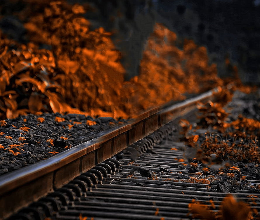 Rustic Train Tracks Winding Through Autumn Foliage at Dusk HD wallpaper