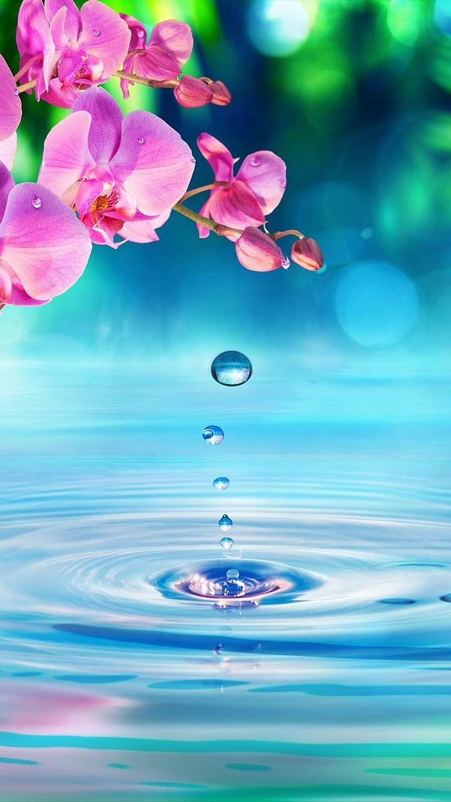 Pink Orchid Blossoms Above Turquoise Water with Falling Droplets and Ripples HD phone wallpaper