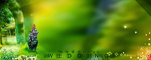Green Garden Wedding Invitation Background with Floral Vase and Sparkles HD wallpaper