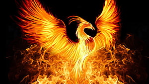 Majestic Phoenix Bird Rising From Flames With Fiery Wings Against Dark Background HD wallpaper