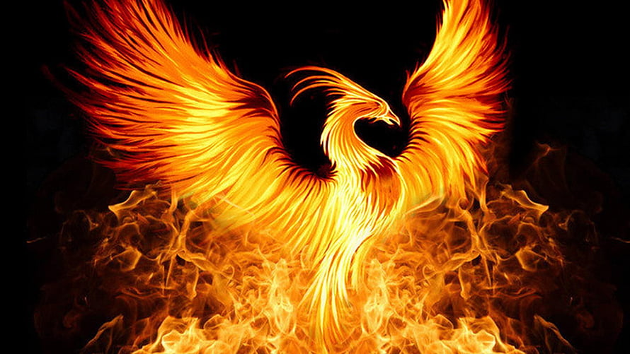 Majestic Phoenix Bird Rising From Flames With Fiery Wings Against Dark Background HD wallpaper
