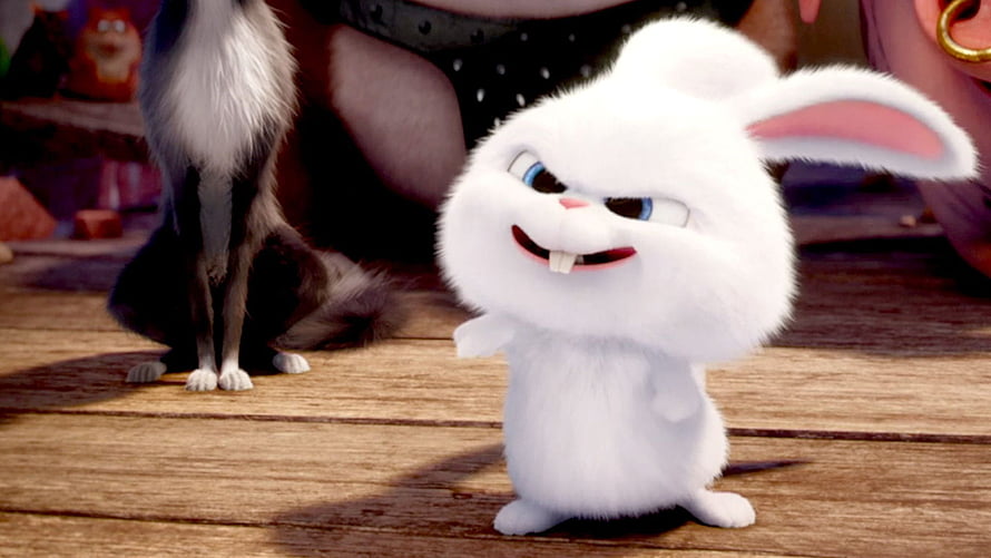 Snowball the White Bunny from The Secret Life of Pets with a Mischievous Grin HD wallpaper