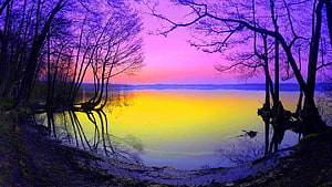 Vibrant Sunset Over a Calm Lake Framed by Silhouetted Trees HD wallpaper