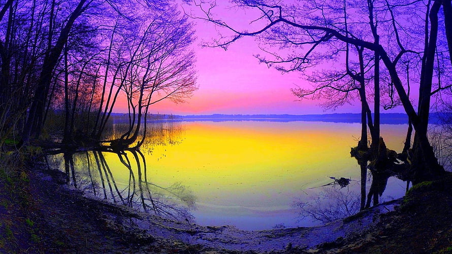 Vibrant Sunset Over a Calm Lake Framed by Silhouetted Trees HD wallpaper