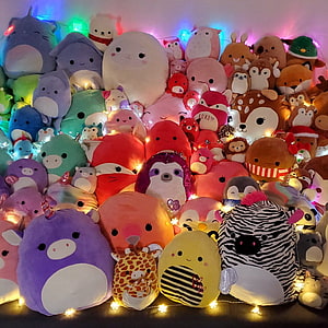 Colorful Squishmallow Plush Collection Arranged with Warm Fairy Lights HD wallpaper