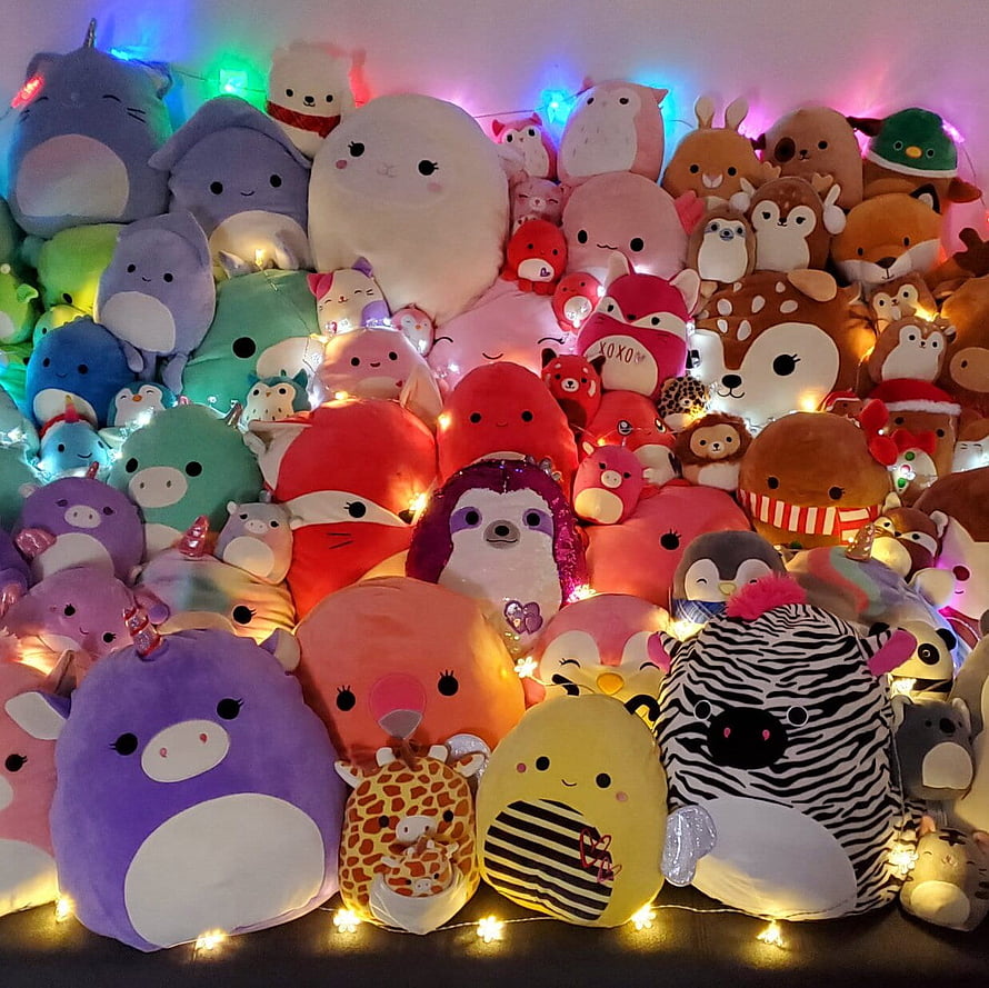 Colorful Squishmallow Plush Collection Arranged with Warm Fairy Lights HD wallpaper