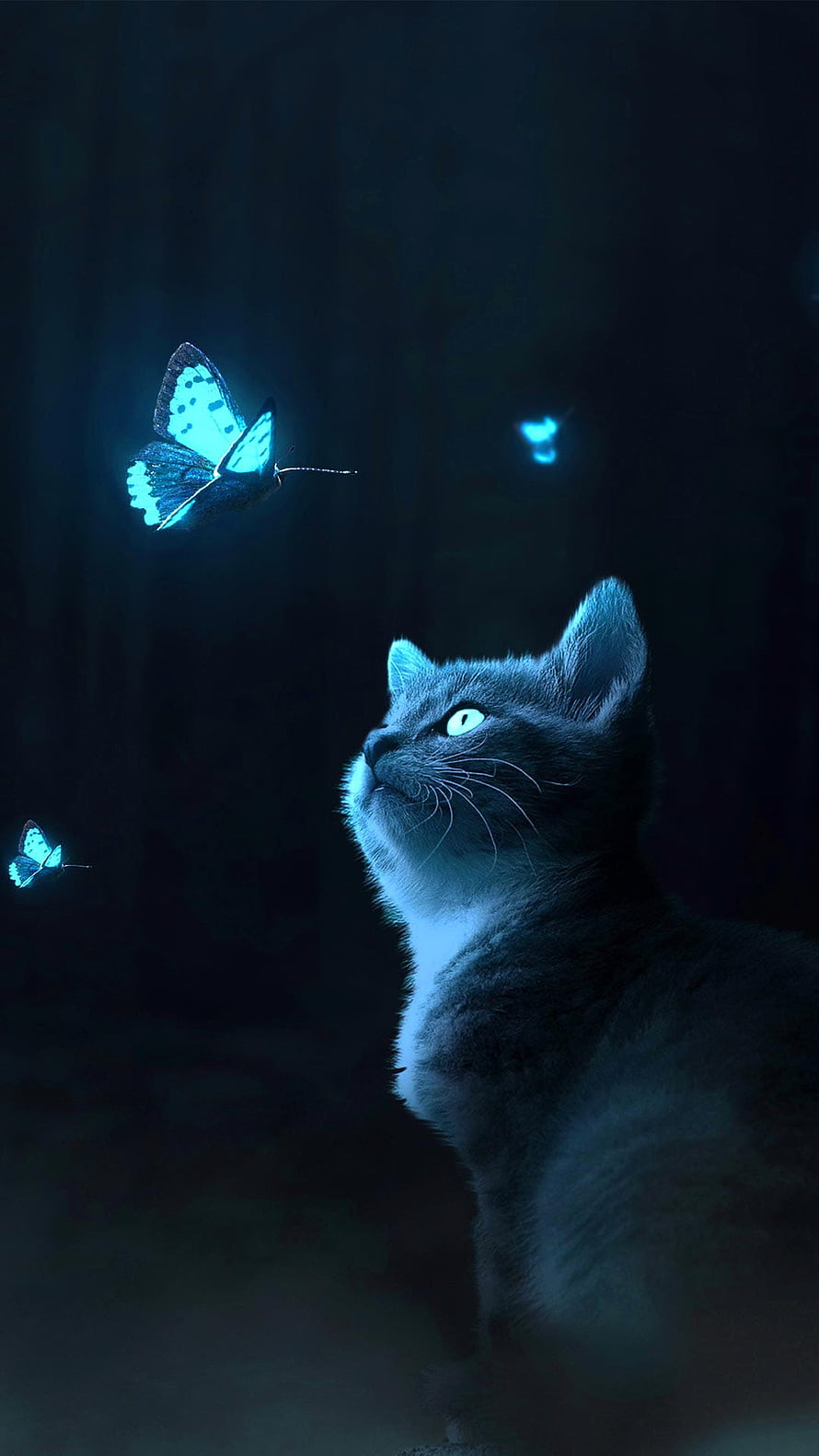 Mystical Gray Cat Gazing at Glowing Blue Butterflies in a Dark Ethereal Setting HD phone wallpaper