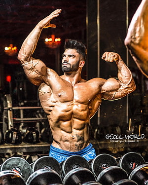 Sergi Constance Bodybuilder Flexing Muscular Physique in Gym HD phone wallpaper