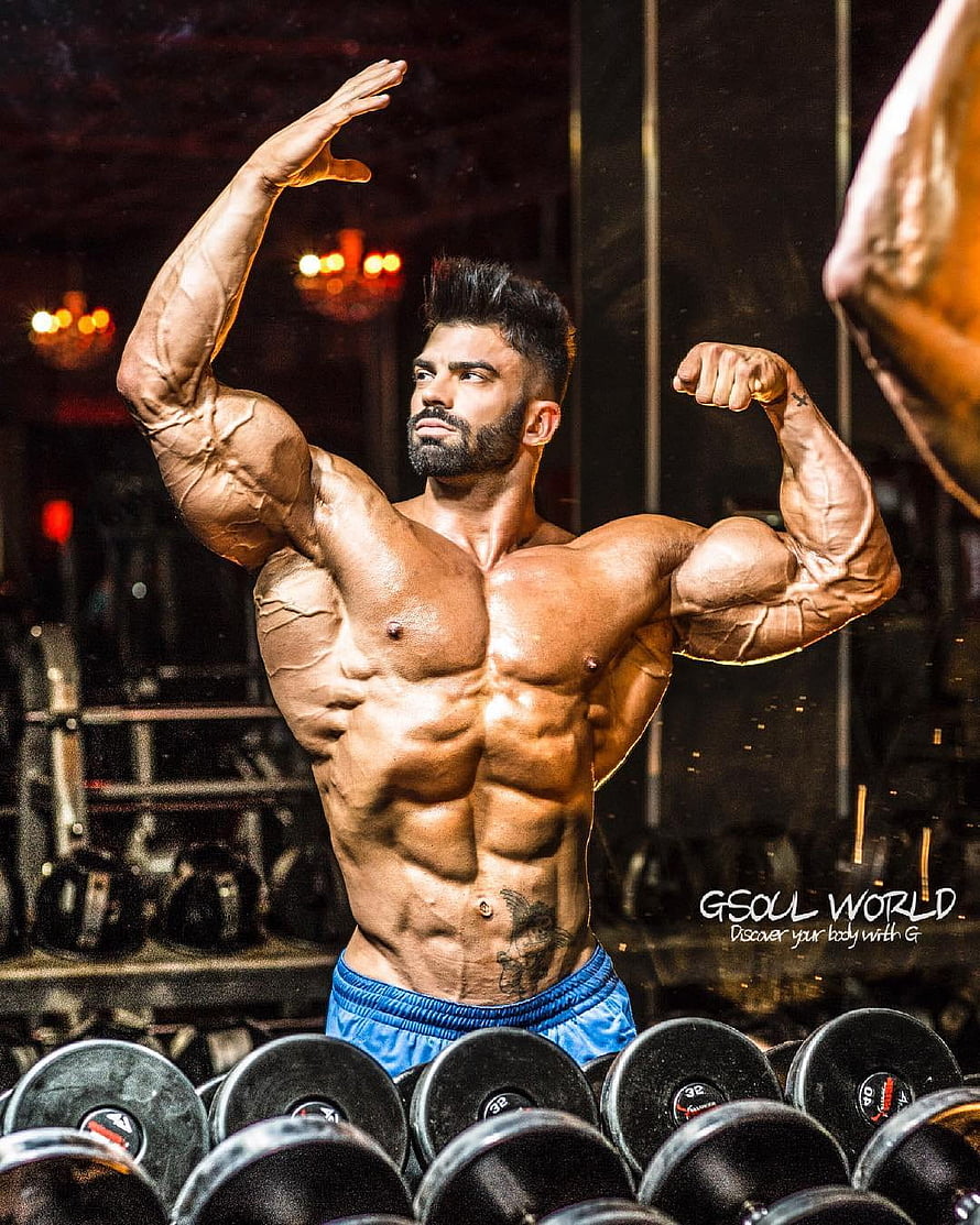 Sergi Constance Bodybuilder Flexing Muscular Physique in Gym HD phone wallpaper