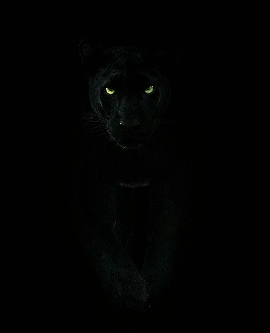 Black Panther Portrait With Glowing Green Eyes Against Dark Background HD phone wallpaper