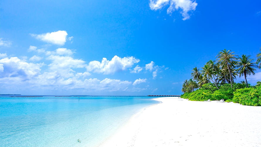 Pristine Tropical Beach With White Sand, Turquoise Water, and Palm Trees Under a Bright Blue Sky HD wallpaper