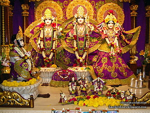 Sri Sri Rama Sita Lakshmana Hanuman Deity Altar with Marigold Flowers and Gold Ornamentation, Sri Sri Sita Rama Laxman Hanuman, ram sita hanuman HD wallpaper