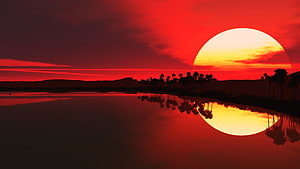 Vivid red sunset over a calm lake with palm tree silhouettes and a glowing sun reflection HD wallpaper