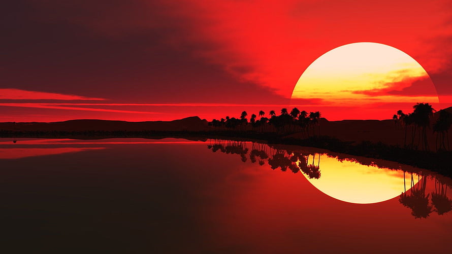 Vivid red sunset over a calm lake with palm tree silhouettes and a glowing sun reflection HD wallpaper