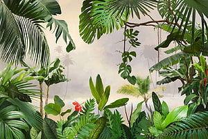 Lush Tropical Jungle Scene With Monstera Leaves And Red Hibiscus Flower HD wallpaper