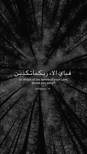 Ar Rahman 13 Quran Verse Overlooked Forest Canopy at Night, Ar Rahman Islam Tumblr Allah Night Sky Quotes Alquran, islamic HD phone wallpaper