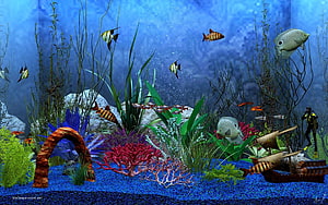Vibrant 3D Underwater Aquarium Scene with Colorful Fish, Coral, and Aquatic Plants HD wallpaper