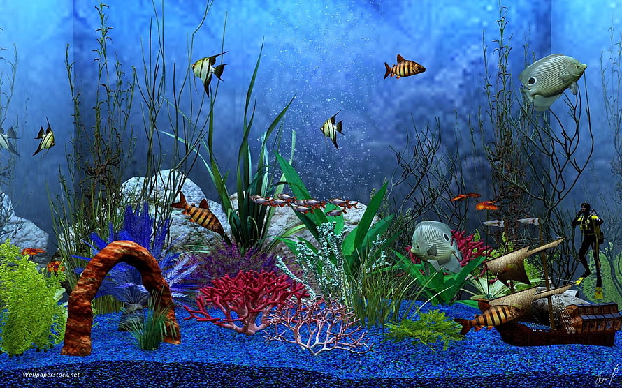 Vibrant 3D Underwater Aquarium Scene with Colorful Fish, Coral, and Aquatic Plants HD wallpaper