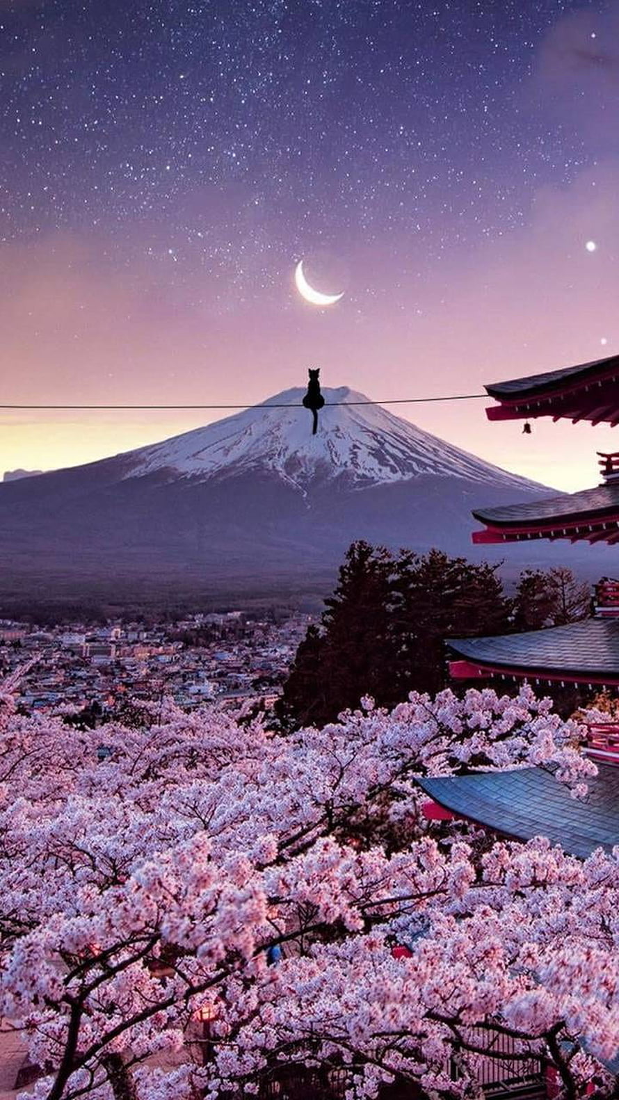 Cat Silhouette on Power Line Above Mount Fuji with Cherry Blossoms and Starry Night Sky HD phone wallpaper