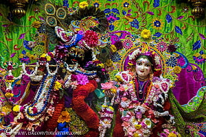 ISKCON Vrindavan Deities Adorned in Vibrant Floral Garlands and Ornate Traditional Attire HD wallpaper