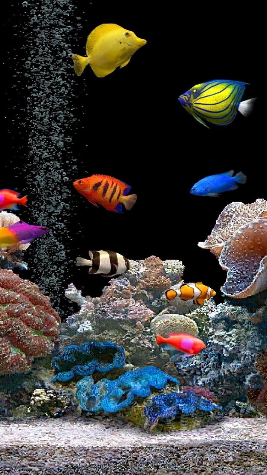 Vibrant 3D Fish Tank with Colorful Tropical Fish and Coral Reef HD phone wallpaper