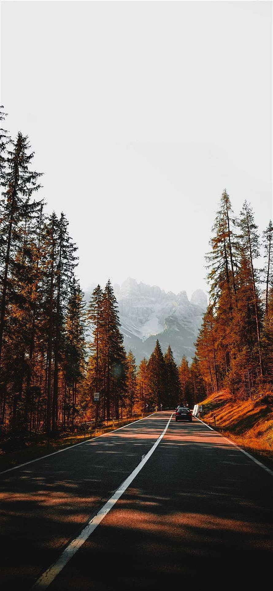 Mountain Road Through Pine Forest at Golden Hour with Distant Peaks HD phone wallpaper