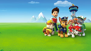 Paw Patrol Team and Ryder Standing on Green Grass with Watchtower and Mountains in Background HD wallpaper