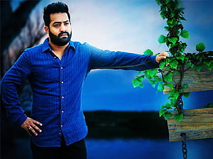 Jr NTR in a blue shirt leaning against a wooden bench with green vines HD wallpaper