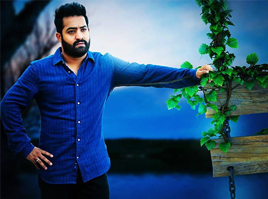 Jr NTR in a blue shirt leaning against a wooden bench with green vines HD wallpaper