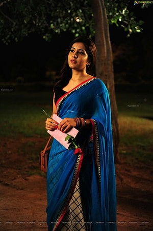 Rashi Khanna in a Blue Saree with Red Border Holding a Rose at Night HD phone wallpaper