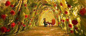 The Little Prince and the Fox in a Rose Garden Tunnel HD wallpaper