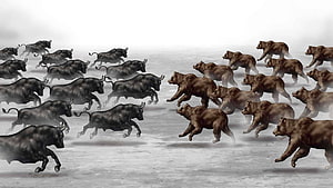Bulls and Bears Charging in Opposing Directions on a Misty Plain HD wallpaper