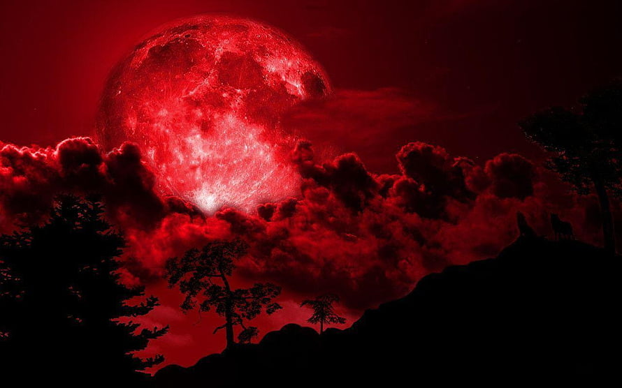 Eerie Blood Moon Rising Over Dark Silhouetted Forest and Dramatic Clouds HD wallpaper