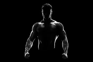 Dramatic Black and White Silhouette of a Muscular Bodybuilder with Defined Anatomy HD wallpaper