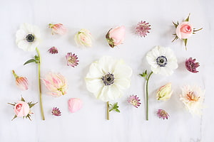 Minimalist Spring Floral Arrangement with Anemones and Roses on White Marble HD wallpaper