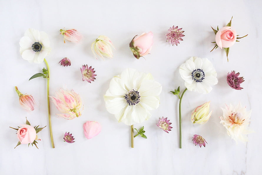 Minimalist Spring Floral Arrangement with Anemones and Roses on White Marble HD wallpaper
