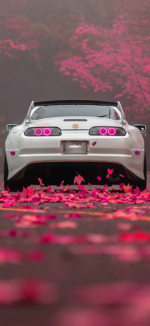 Rear View of a White Toyota Supra JDM Parked on a Road Covered in Vibrant Pink Autumn Leaves HD phone wallpaper