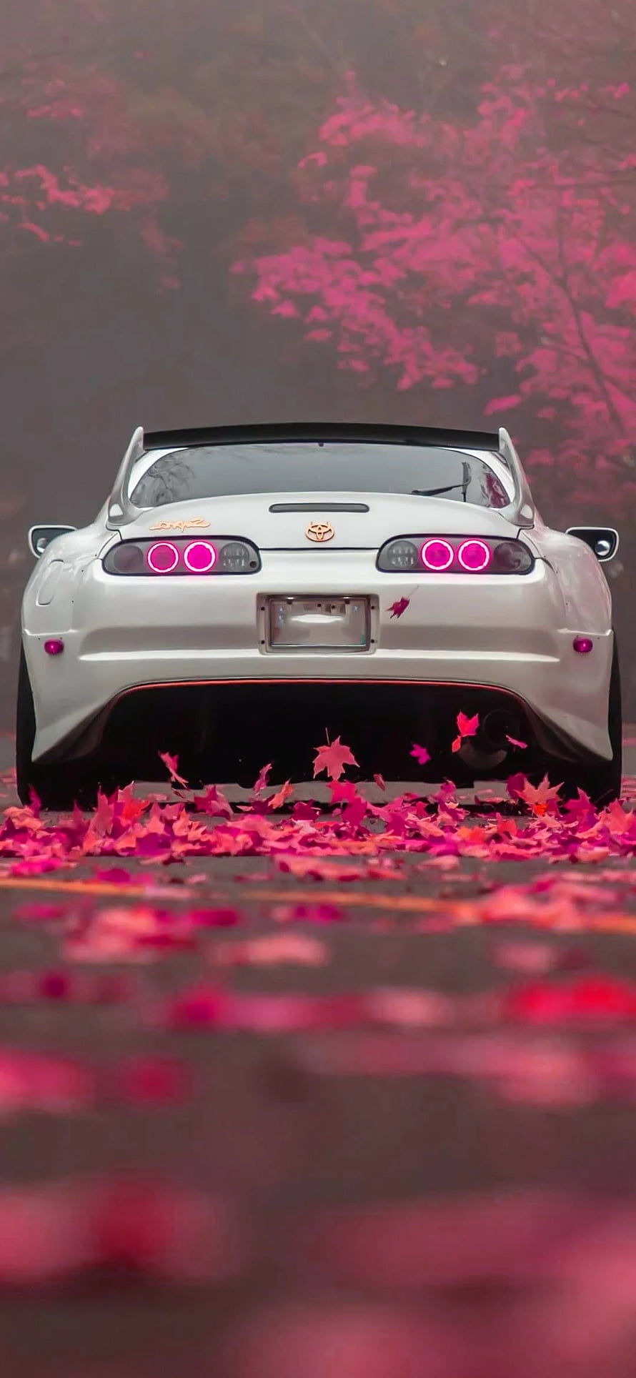 Rear View of a White Toyota Supra JDM Parked on a Road Covered in Vibrant Pink Autumn Leaves HD phone wallpaper
